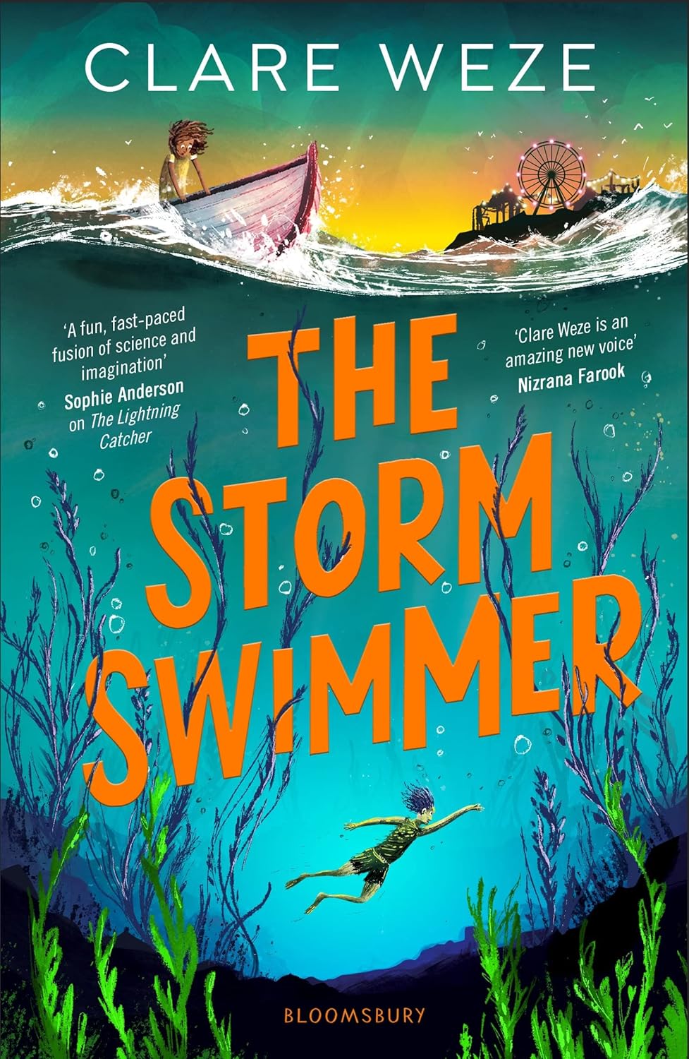 Book cover for The Storm Swimmer by Clare Weze