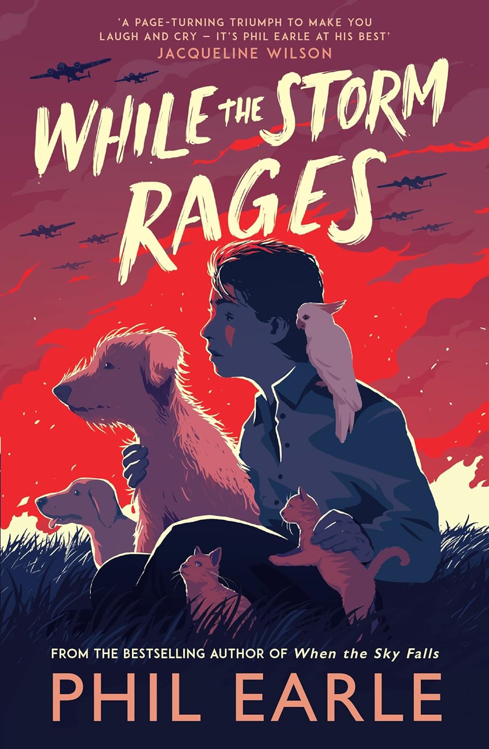 Book cover for While the Storm Rages by Phil Earle