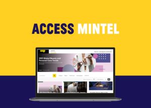 Access Mintel